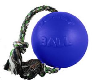 Screenshot 2022-03-29 at 12-49-20 50 Best Dog Toys For 2022 That Your Dog Will Love.docx